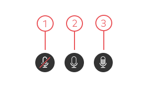 microphone-states-en-de.png
